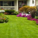 Full Service Lawn Care Citrus County