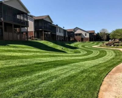 Commercial Lawn Care Citrus County