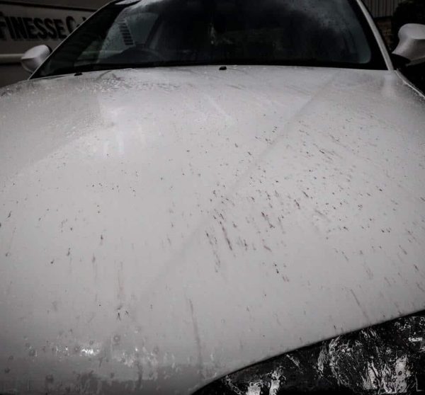 Iron Decontamination Citrus County