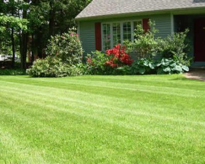 Lawn Care Company Citrus County
