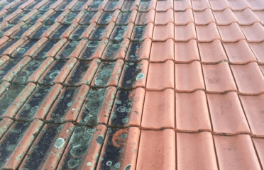 Residential Roof Cleaning Citrus County